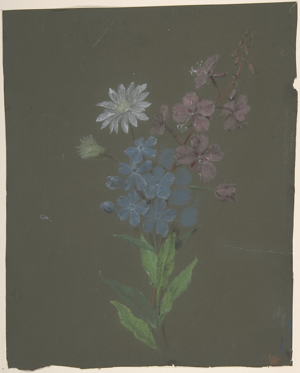 Floral Design, Antoine Berjon (French, Lyon 1754–1843 Lyon), Green, white, purple, brown, blue, and black chalk 