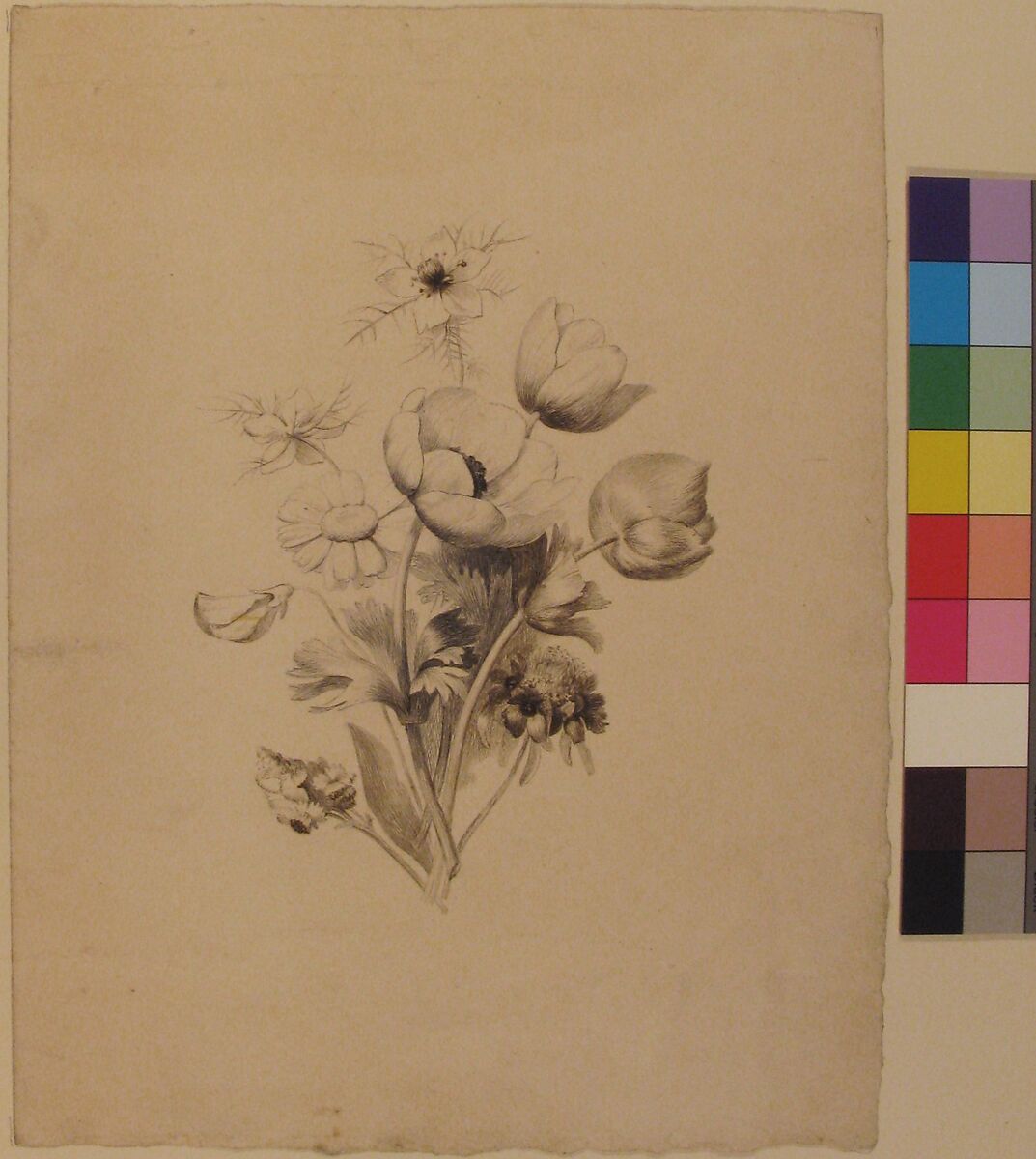 Floral Design, Antoine Berjon (French, Lyon 1754–1843 Lyon), Pen and brown, black, and gray ink, brush and gray wash
