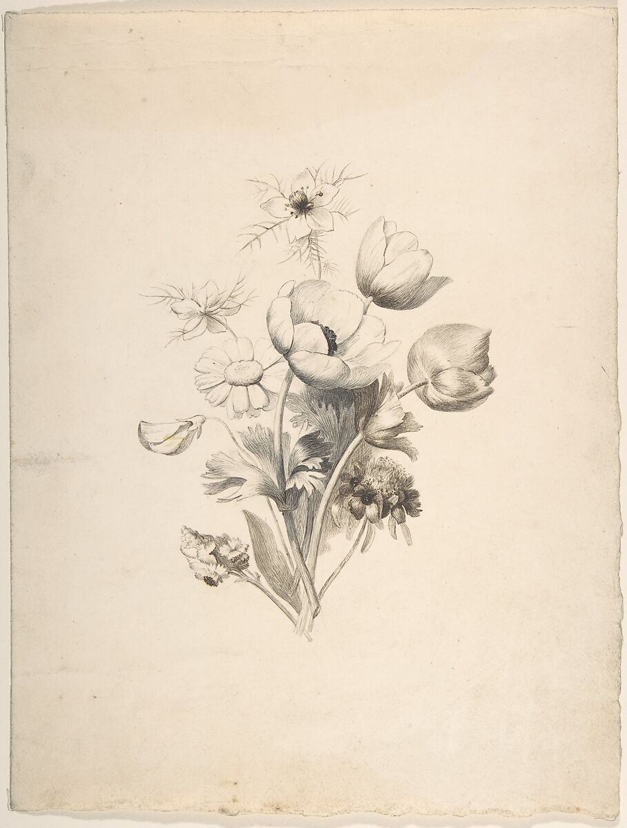 Floral Design, Antoine Berjon (French, Lyon 1754–1843 Lyon), Pen and brown, black, and gray ink, brush and gray wash 