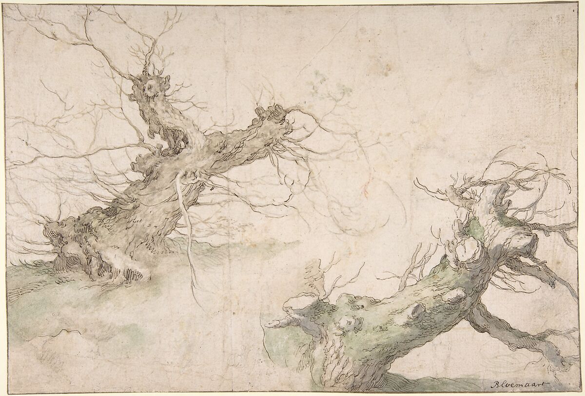 Studies of Two Pollard Willows; Verso: Wide Landscape Prospect, Abraham Bloemaert (Netherlandish, Gorinchem 1566–1651 Utrecht), Pen and brown ink, watercolor, traces of black chalk, framing line in pen and brown ink; verso black chalk and watercolor 