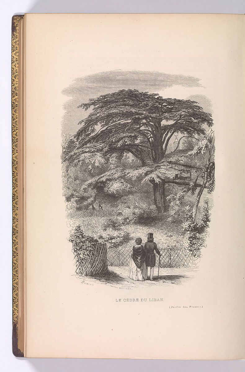 Le Jardin des Plantes, Descriptions et Moeurs des Mammiferes, François Boitard (French, ca. 1670–ca. 1715), Engravings, wood engravings, lithographs, hand-coloring 