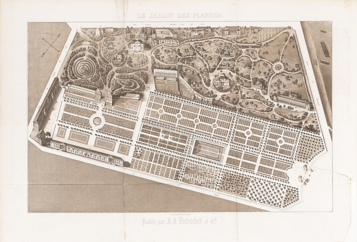 Le Jardin des Plantes, Descriptions et Moeurs des Mammiferes, François Boitard (French, ca. 1670–ca. 1715), Engravings, wood engravings, lithographs, hand-coloring
