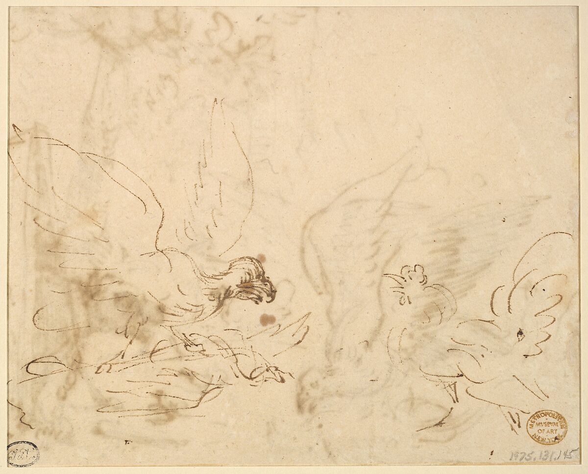 Barnyard Scene: two birds fighting (recto)
Studies of Birds(verso), Anthonie van Borssom (Dutch, Amsterdam 1630/31–1677 Amsterdam), Pen and brown ink.