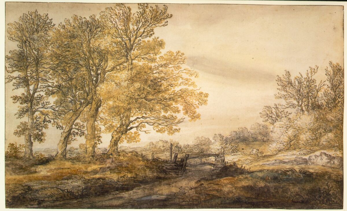 Landscape with Trees, Aelbert Cuyp (Dutch, Dordrecht 1620–1691 Dordrecht), Watercolor over black chalk