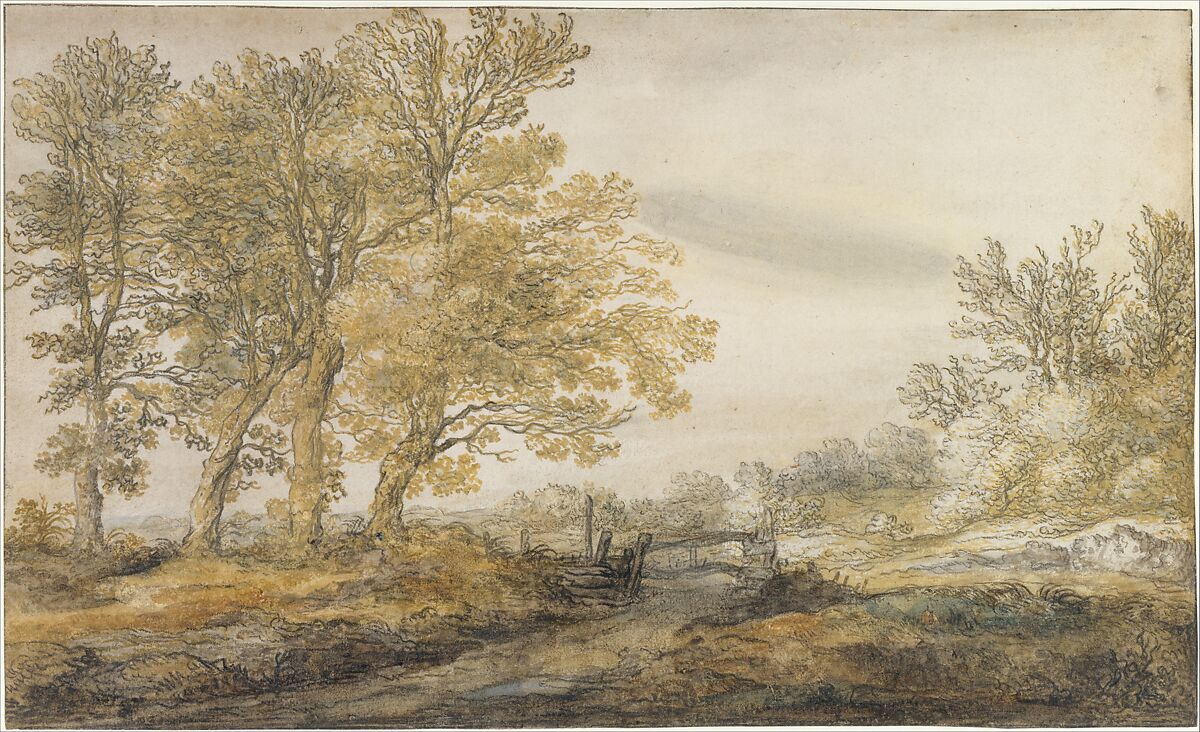 Landscape with Trees, Aelbert Cuyp (Dutch, Dordrecht 1620–1691 Dordrecht), Watercolor over black chalk