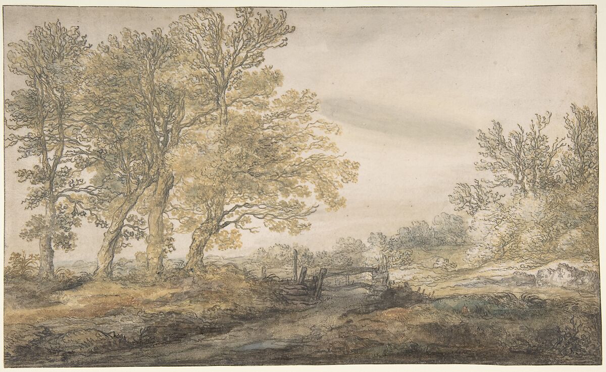 Landscape with Trees, Aelbert Cuyp (Dutch, Dordrecht 1620–1691 Dordrecht), Watercolor over black chalk 