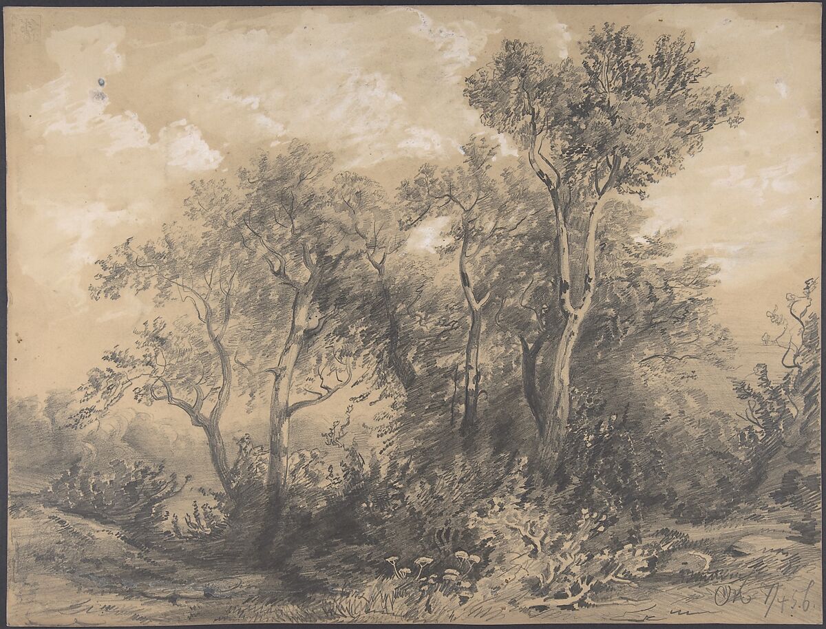 Trees (recto); Soldiers in a Wood (verso), Alexandre Calame (Swiss, Vevey 1810–1864 Menton), Graphite heightened with white bodycolor 