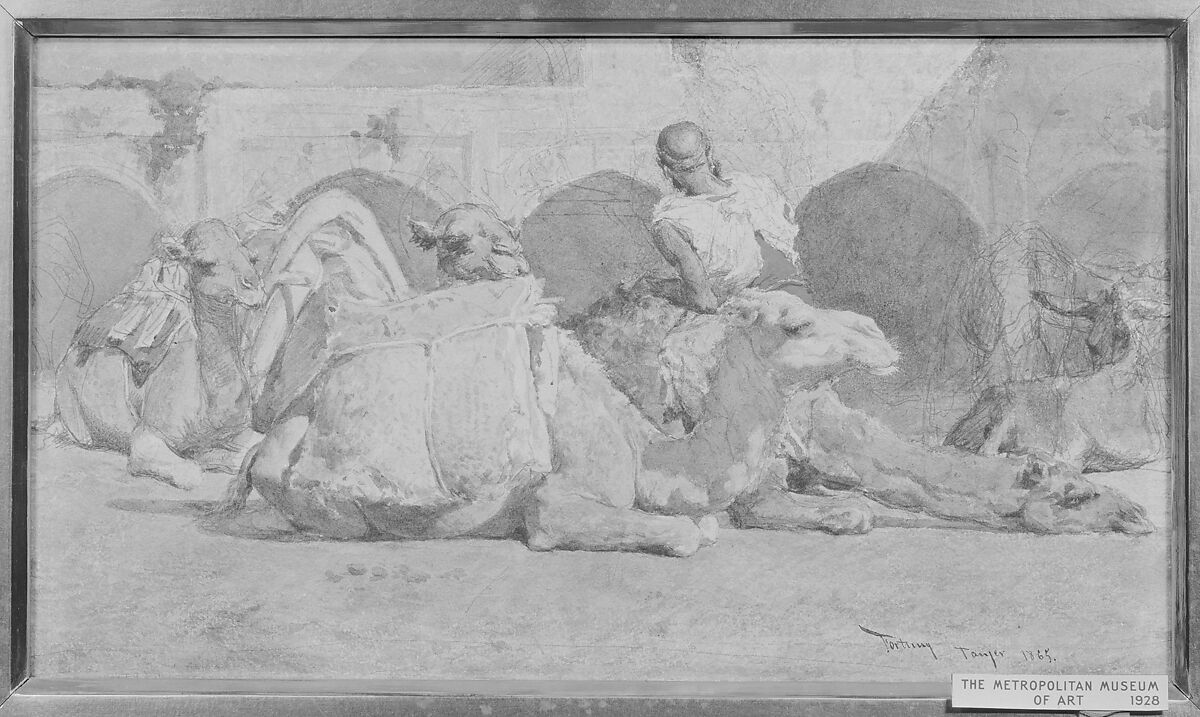 Camels Reposing, Tangiers, Mariano Fortuny Marsal (Spanish, Reus 1838–1874 Rome), Watercolor over graphite on off-white paper