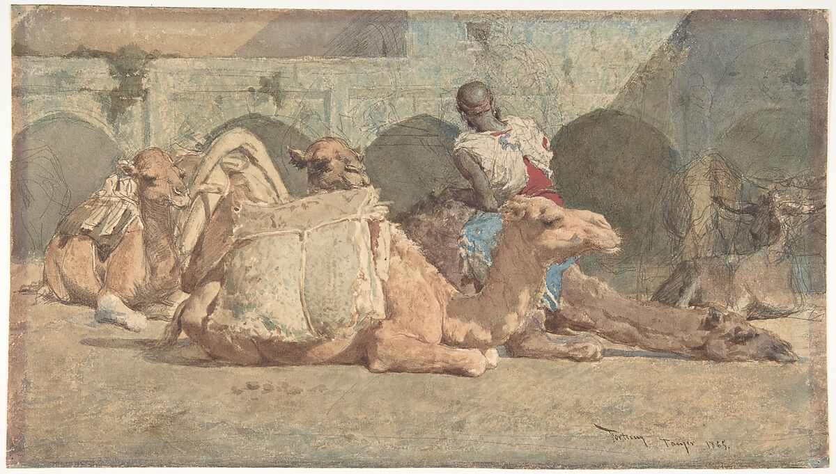 Camels Reposing, Tangiers, Mariano Fortuny Marsal (Spanish, Reus 1838–1874 Rome), Brush and watercolor over black graphite underdrawing.  On off-white paper 