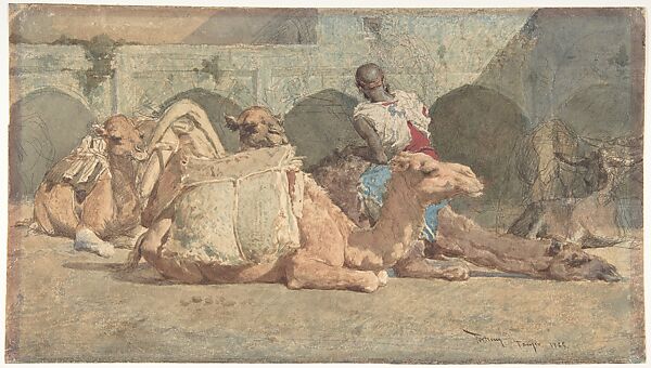 Camels Reposing, Tangiers