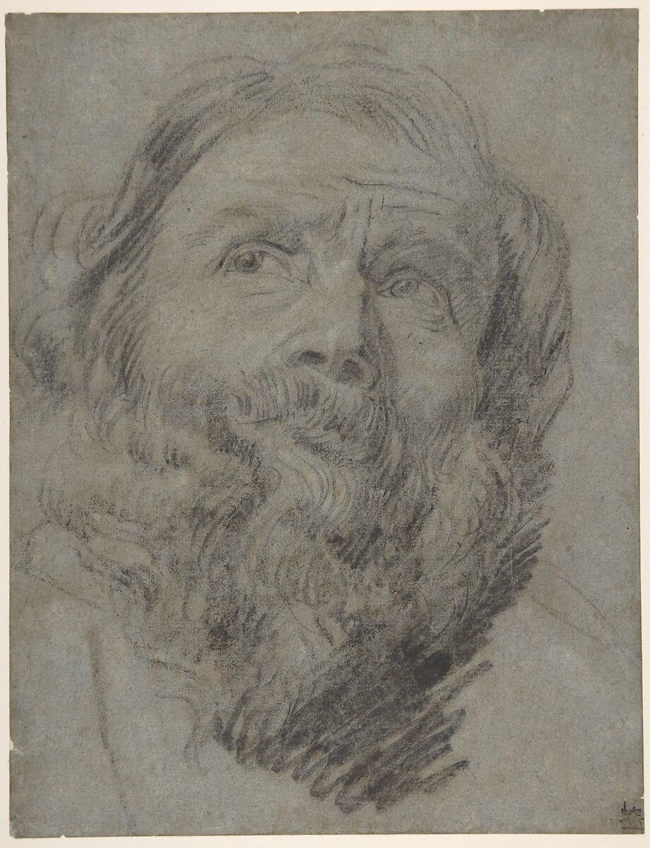 Head of an Apostle, circle of Anthony van Dyck (Flemish, Antwerp 1599–1641 London), Black and white chalk on blue paper 