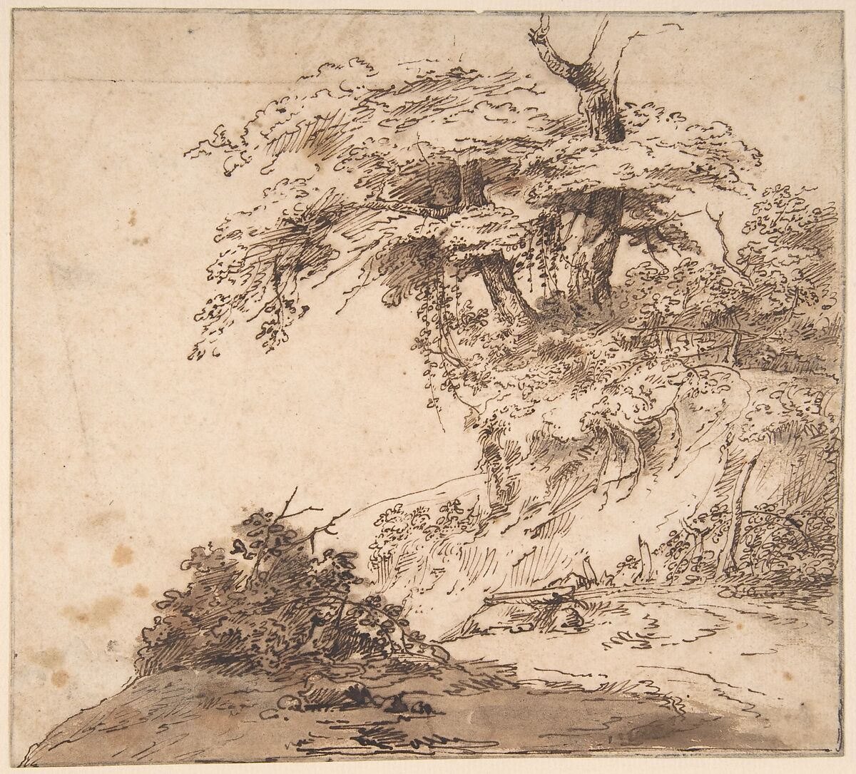 A Group a Trees, Attributed to Anthony van Dyck (Flemish, Antwerp 1599–1641 London), Pen and brown ink, brush and brown wash 