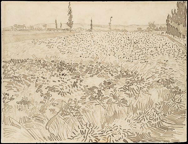 Wheat Field