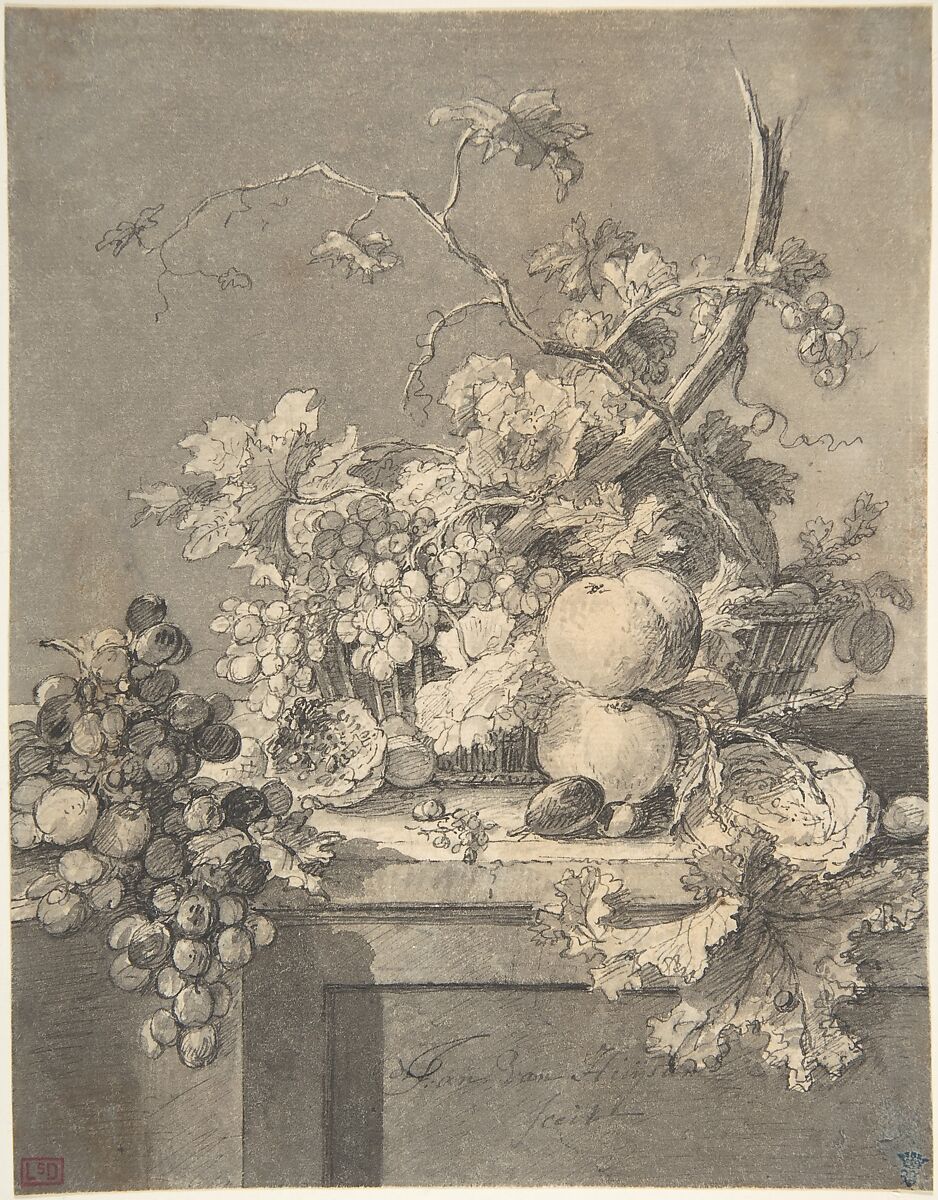 A Basket of Fruit, Jan van Huysum (Dutch, Amsterdam 1682–1749 Amsterdam), Pen and black ink and gray wash on paper. 
