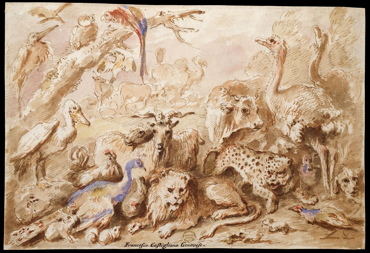 A Congress of Animals, Giovanni Francesco Castiglione (Italian, Genoa 1641–1710 Genoa), Pen and brown ink, brush and watercolor, over traces of black chalk