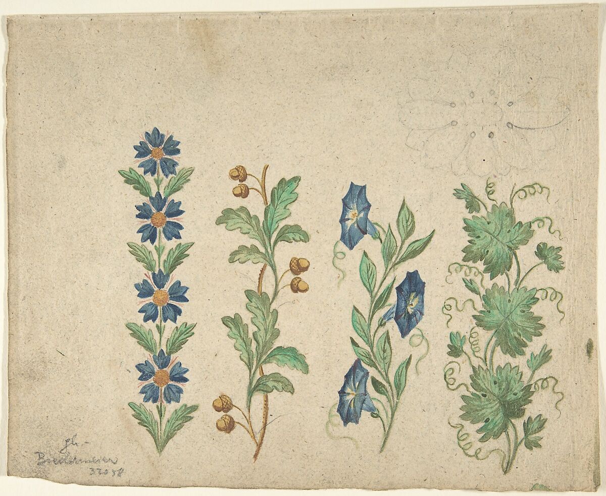 Designs for Embroidery, Anonymous, German, 19th century, Watercolor over traces of black chalk. 