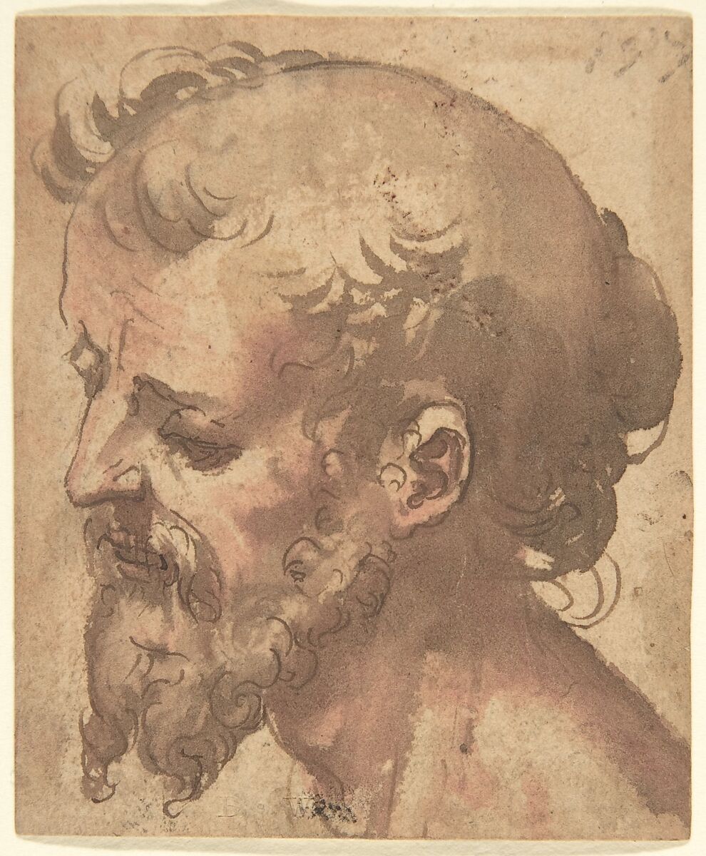 Head of a Bearded Man, Anonymous, Italian, Sienese, 16th century, Pen and brown ink, brush with brown  and red wash 