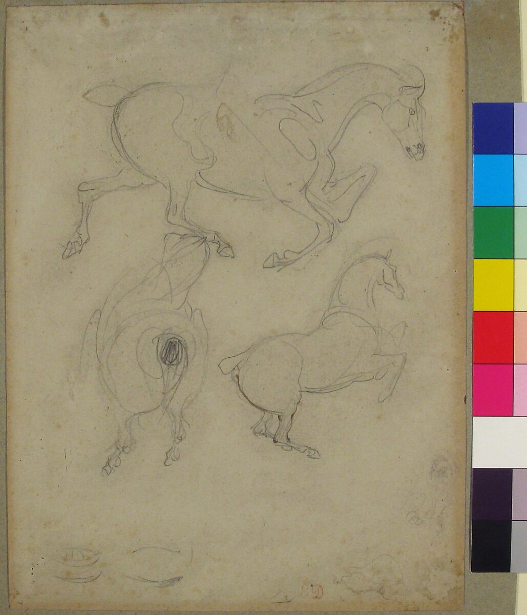 Studies of Horses, Eugène Delacroix (French, Charenton-Saint-Maurice 1798–1863 Paris), Graphite and traces of brown ink on laid paper