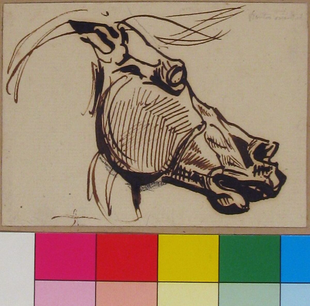 Head of a Horse, after the Parthenon, Eugène Delacroix (French, Charenton-Saint-Maurice 1798–1863 Paris), Pen and brown ink, over a little black chalk on laid paper