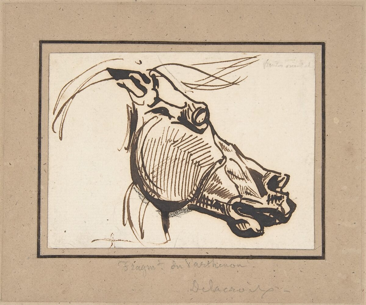 Head of a Horse, after the Parthenon, Eugène Delacroix (French, Charenton-Saint-Maurice 1798–1863 Paris), Pen and brown ink, over a little black chalk on laid paper 