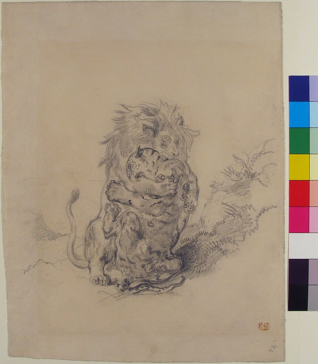 A Lion and a Tiger, Fighting, Eugène Delacroix (French, Charenton-Saint-Maurice 1798–1863 Paris), Graphite on wove paper