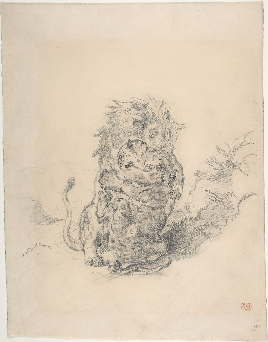 A Lion and a Tiger, Fighting, Eugène Delacroix (French, Charenton-Saint-Maurice 1798–1863 Paris), Graphite on wove paper 