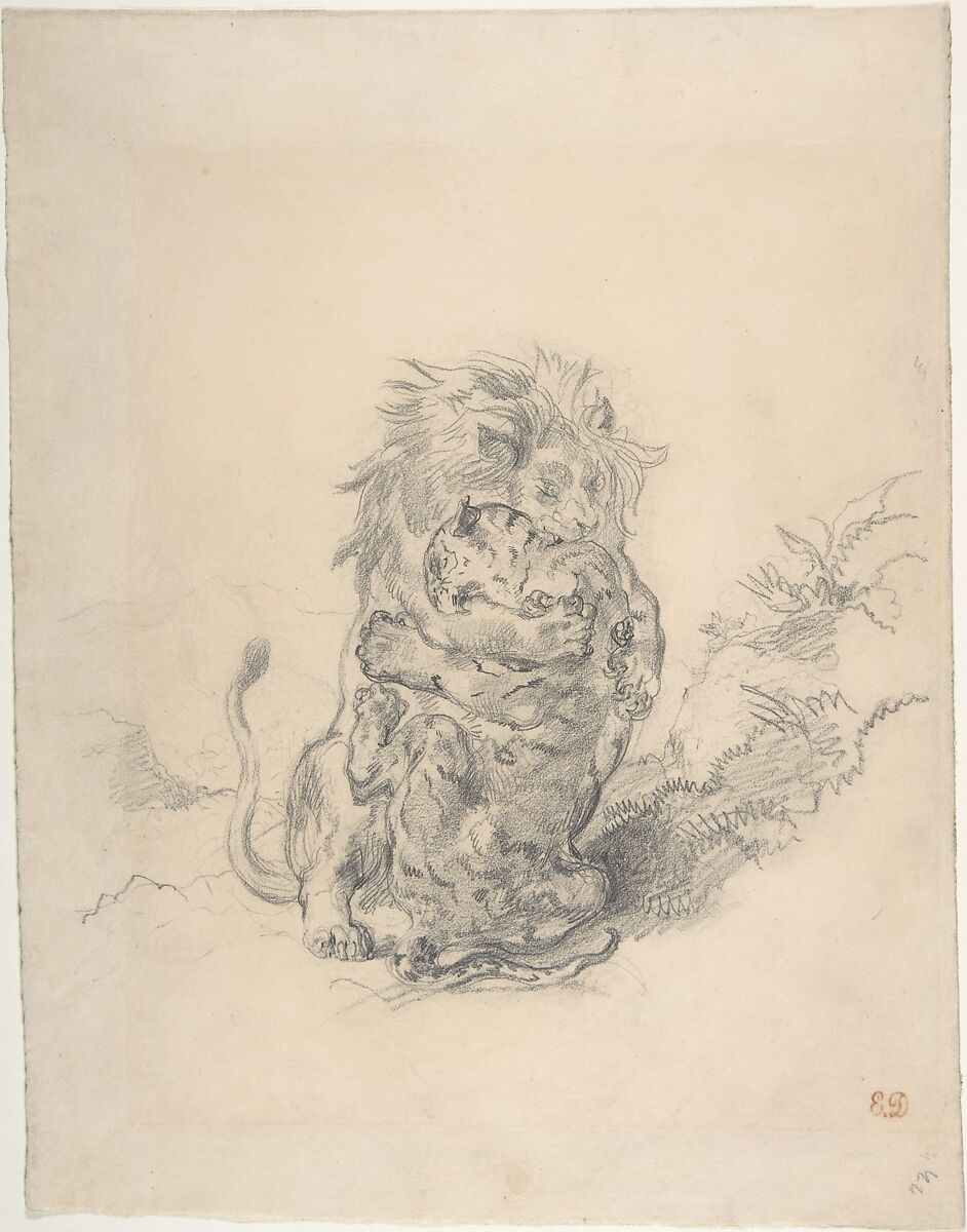 A Lion and a Tiger, Fighting, Eugène Delacroix  French, Graphite on wove paper