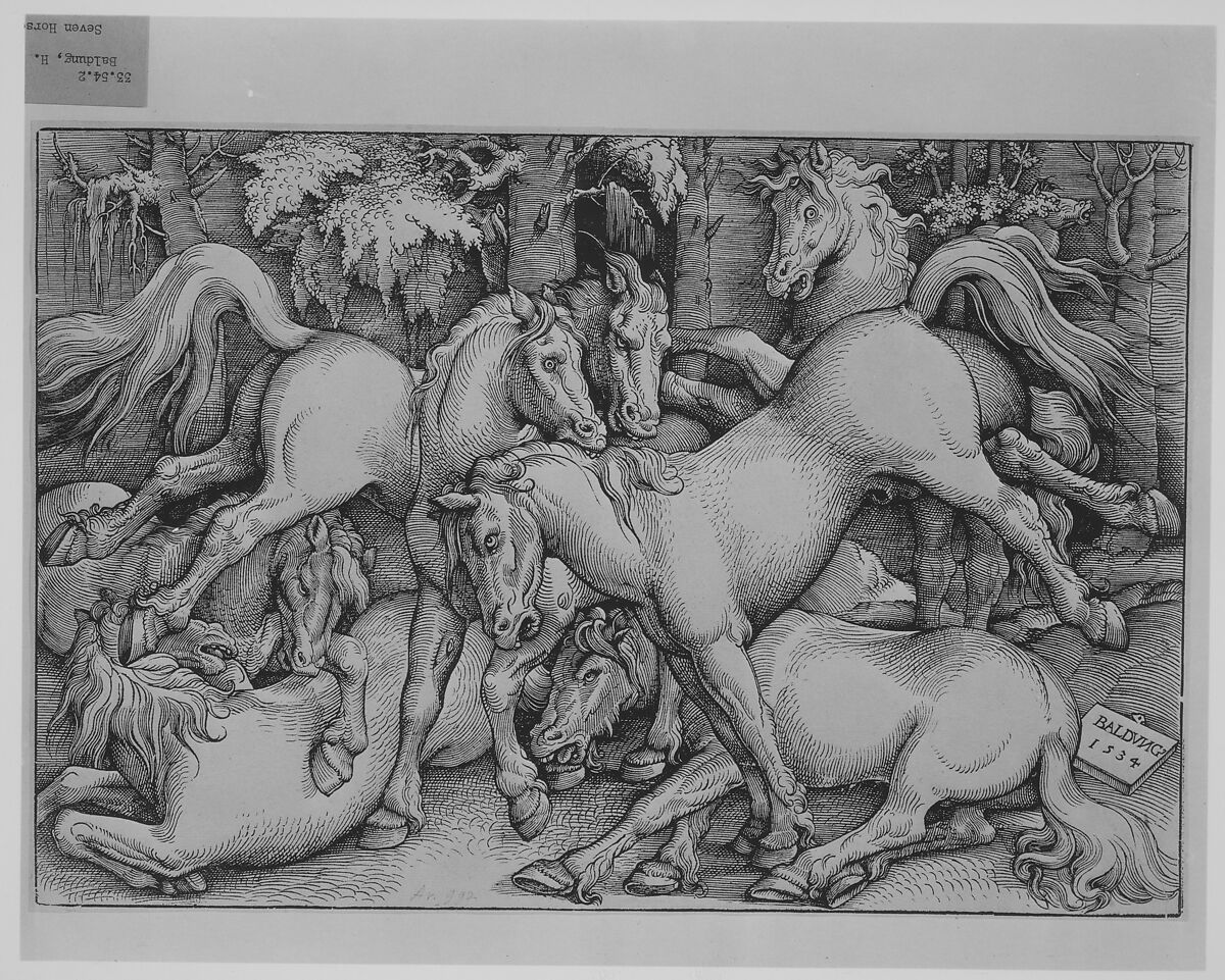 Group of Seven Horses, Hans Baldung (called Hans Baldung Grien) (German, Schwäbisch Gmünd (?) 1484/85–1545 Strasbourg), Woodcut