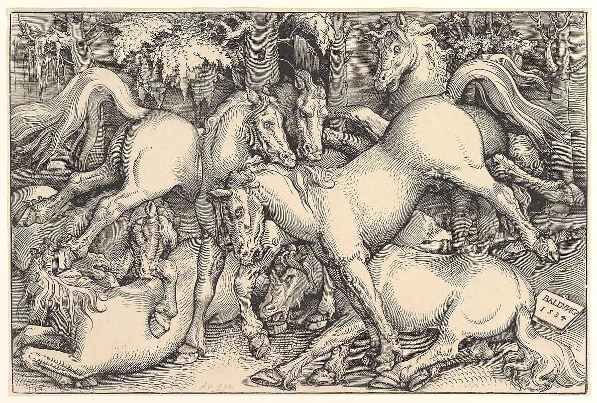 Group of Seven Horses, Hans Baldung (called Hans Baldung Grien) (German, Schwäbisch Gmünd (?) 1484/85–1545 Strasbourg), Woodcut 