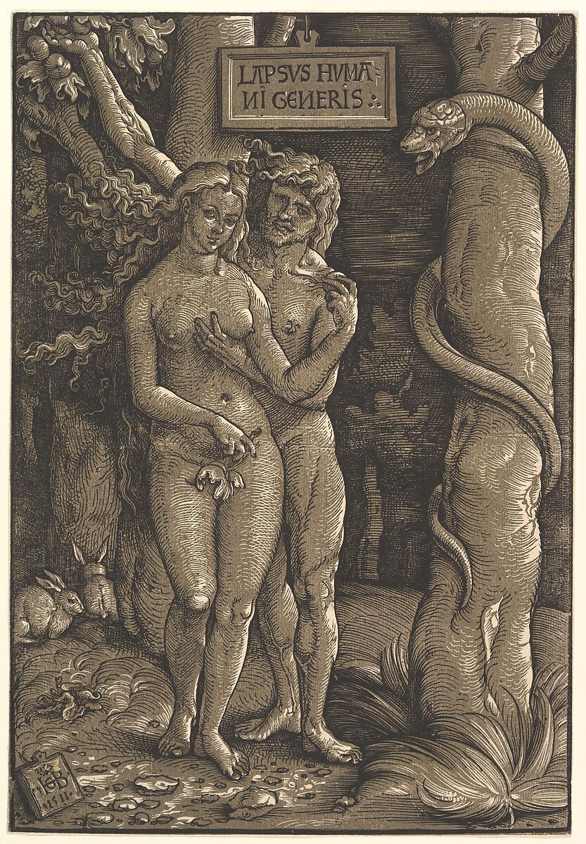 The Fall of Mankind, Hans Baldung (called Hans Baldung Grien) (German, Schwäbisch Gmünd (?) 1484/85–1545 Strasbourg), Chiaroscuro woodcut in two blocks, printed in gray-brown and black; second of two states 