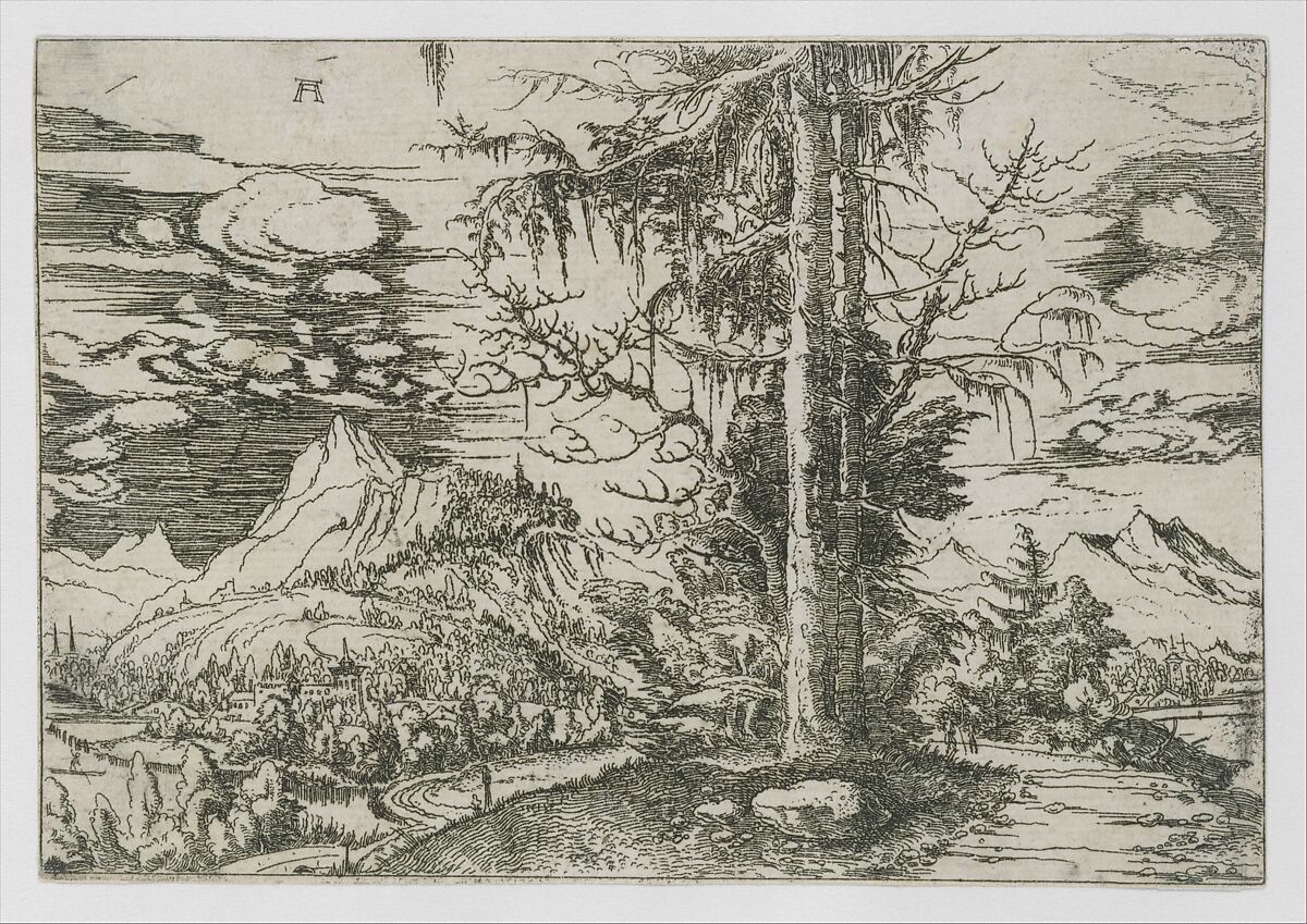 Landscape with a Double Spruce, Albrecht Altdorfer (German, Regensburg ca. 1480–1538 Regensburg), Etching