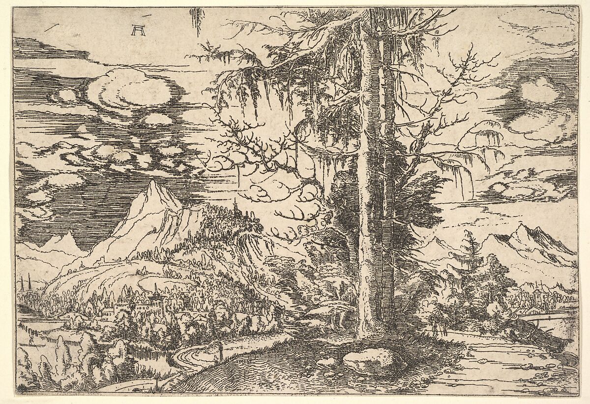 Landscape with a Double Spruce, Albrecht Altdorfer  German, Etching