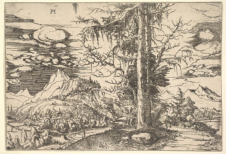 Landscape with a Double Spruce