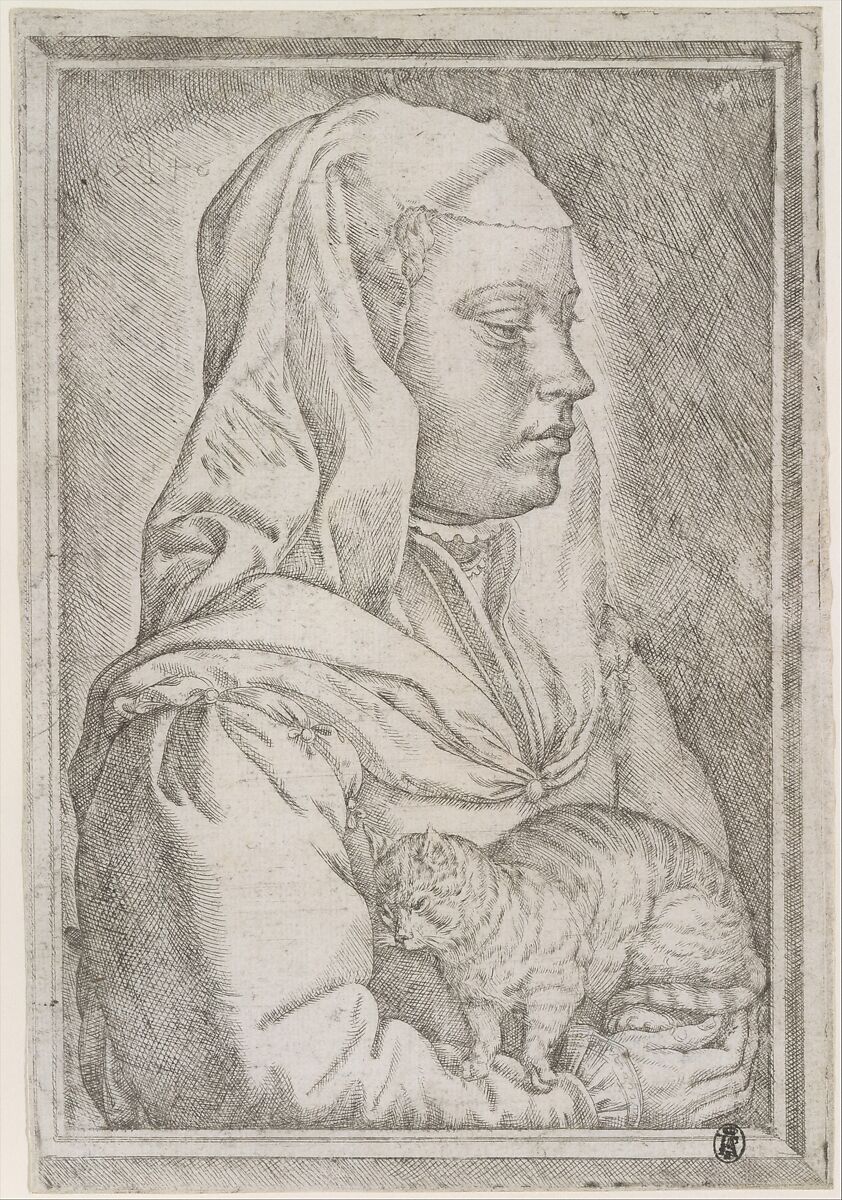 Girl with a Cat, Jan Cornelisz Vermeyen (Netherlandish, Beverwijk ca. 1504–1559 Brussels), Etching with engraving