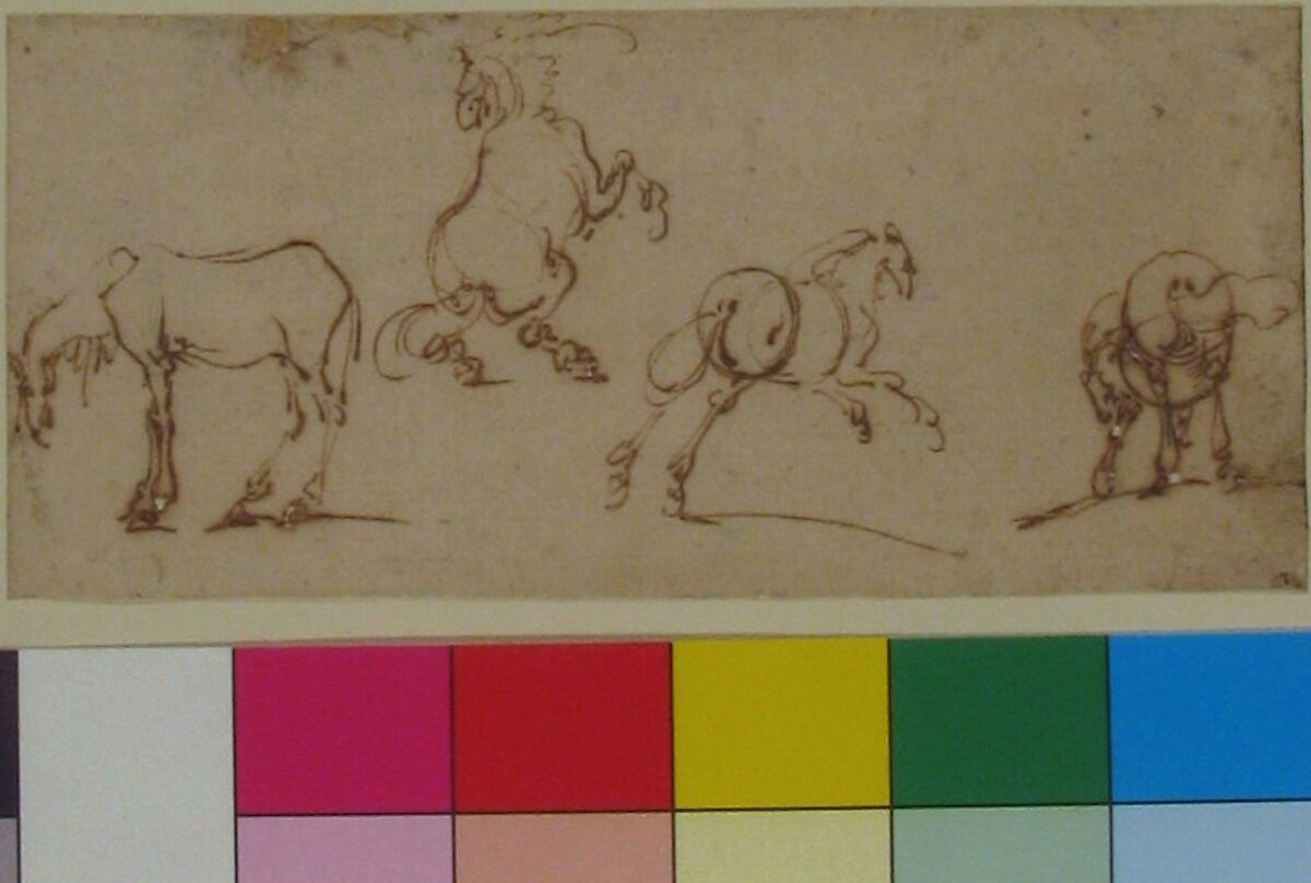 Four Studies of Horses, Jacques Callot (French, Nancy 1592–1635 Nancy), Pen and brown ink