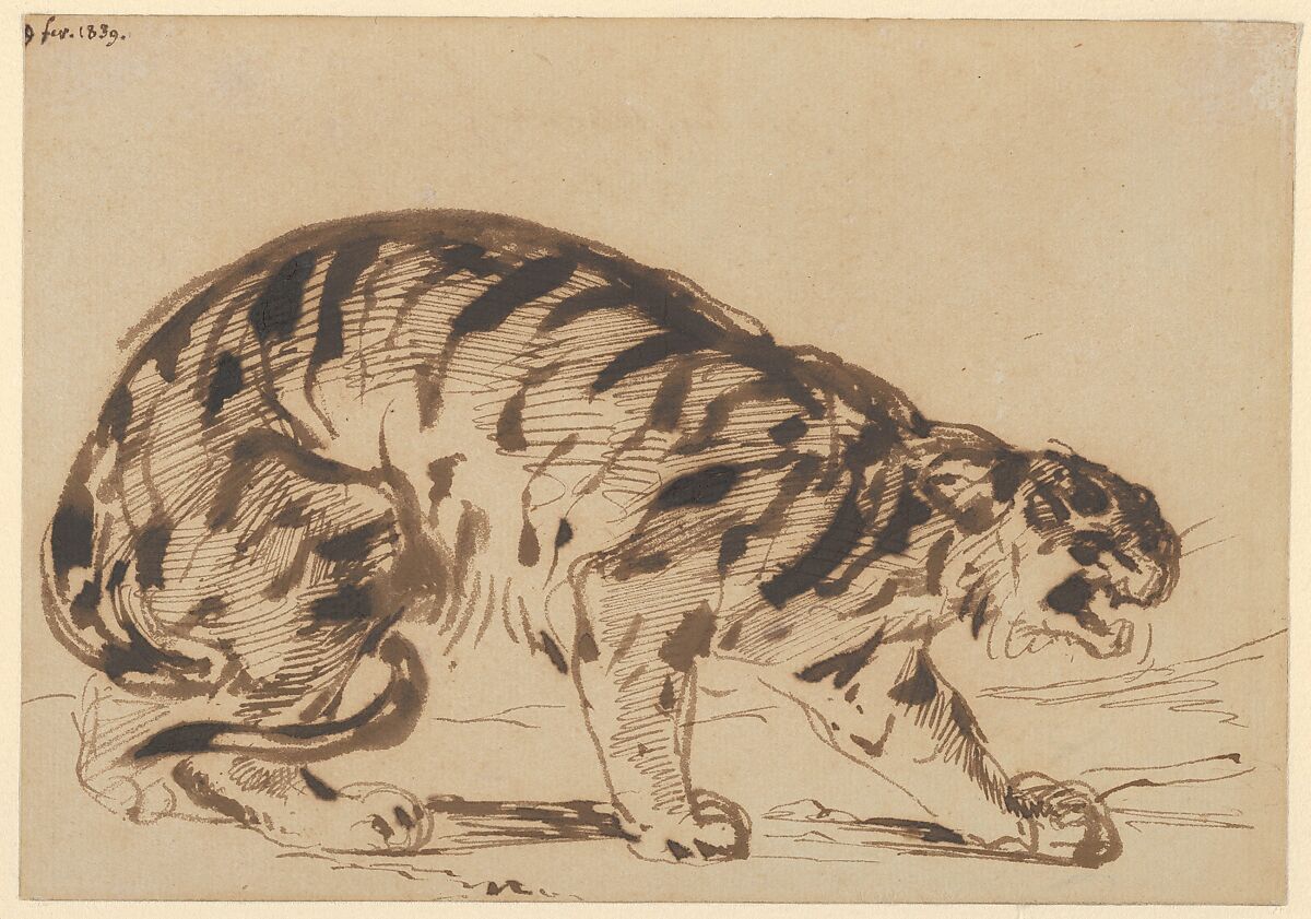 Crouching Tiger, Eugène Delacroix (French, Charenton-Saint-Maurice 1798–1863 Paris), Pen and brush and iron gall ink 