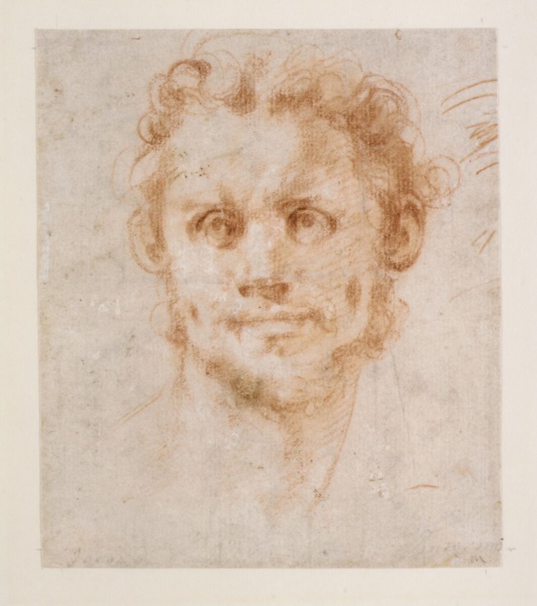 Study of a Man's Head, Jacopo da Pontormo (Jacopo Carucci) (Italian, Pontormo 1494–1556 Florence), Red chalk; stumping