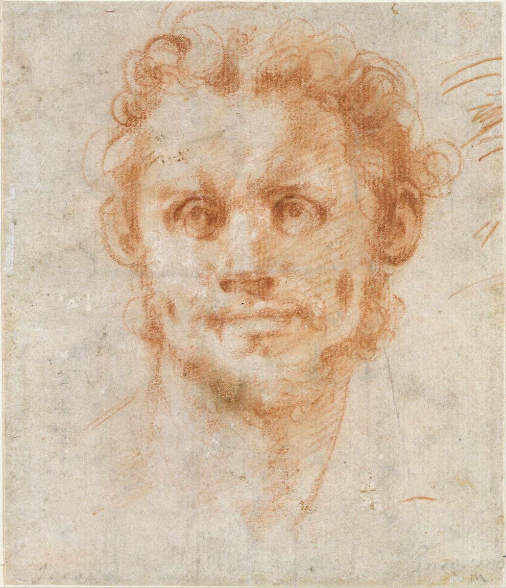 Study of a Man's Head, Jacopo da Pontormo (Jacopo Carucci) (Italian, Pontormo 1494–1556 Florence), Red chalk; stumping