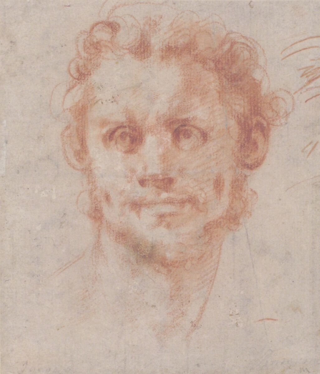 Study of a Man's Head, Jacopo da Pontormo (Jacopo Carucci) (Italian, Pontormo 1494–1556 Florence), Red chalk; stumping