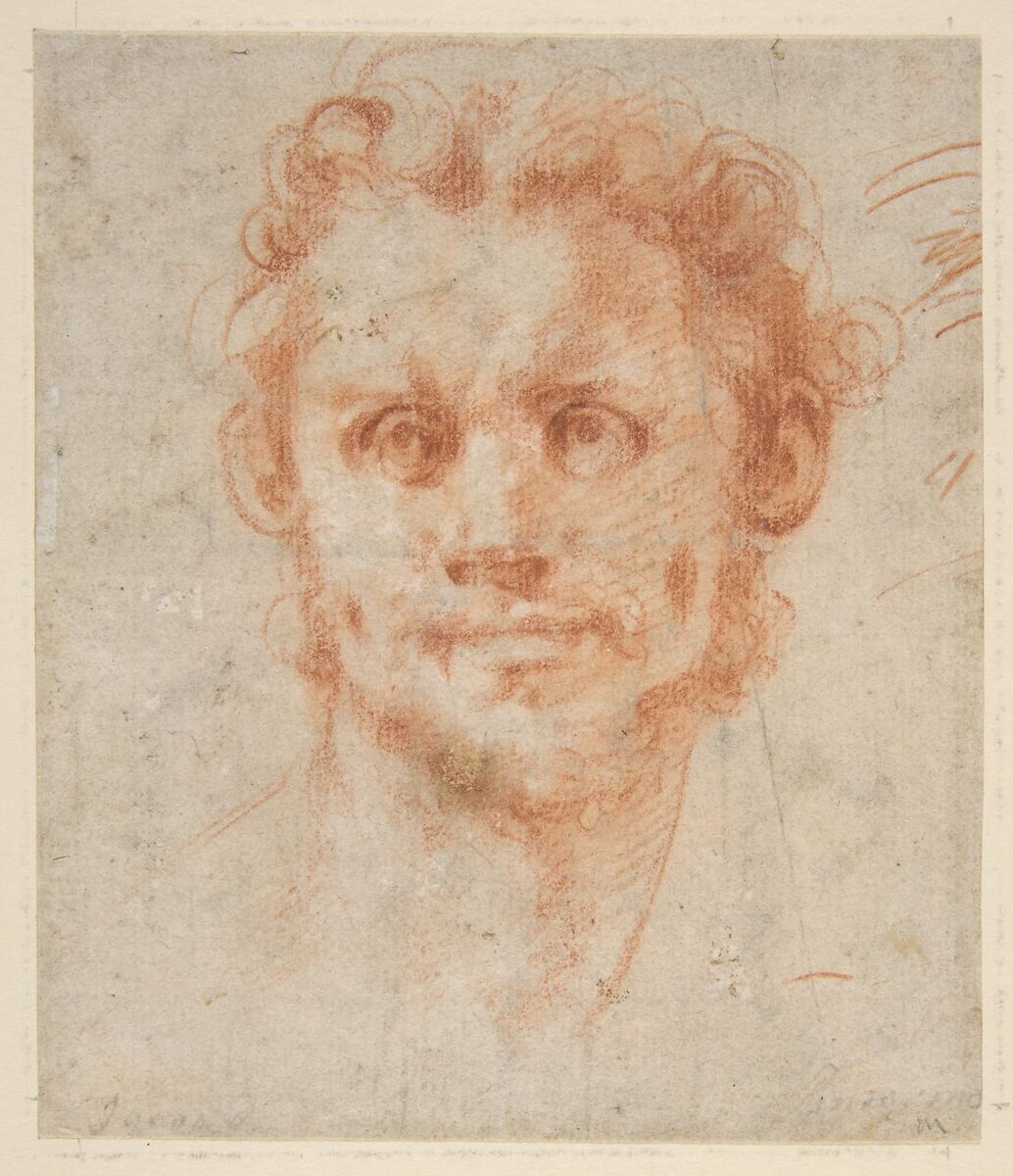 Study of a Man's Head, Jacopo da Pontormo (Jacopo Carucci) (Italian, Pontormo 1494–1556 Florence), Red chalk; stumping 