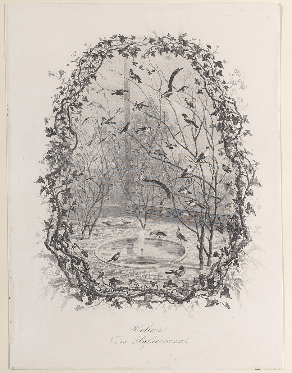 The Sparrow Aviary, Charles-François Daubigny (French, Paris 1817–1878 Paris), Etching; second state of two (Delteil)