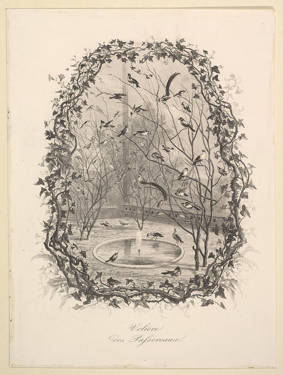 The Sparrow Aviary, Charles-François Daubigny (French, Paris 1817–1878 Paris), Etching; second state of two (Delteil) 