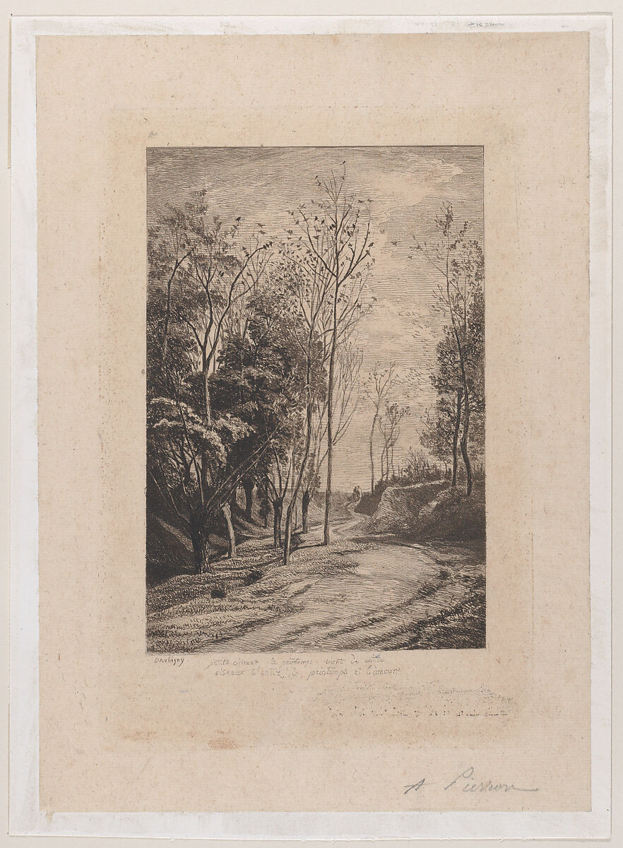 Little Birds, Charles-François Daubigny (French, Paris 1817–1878 Paris), Etching; fourth state of four (Delteil) 