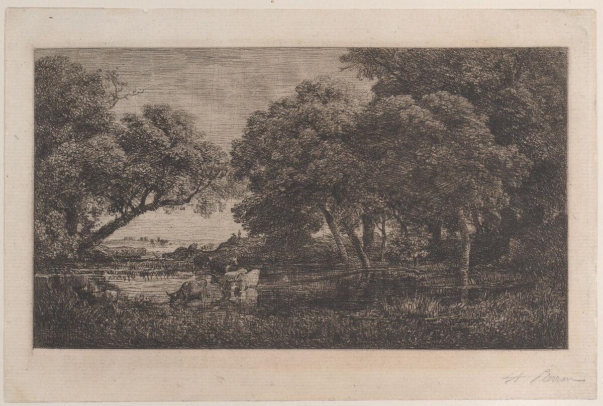 Stags in Woods, Charles-François Daubigny (French, Paris 1817–1878 Paris), Etching; third state of three (Delteil)