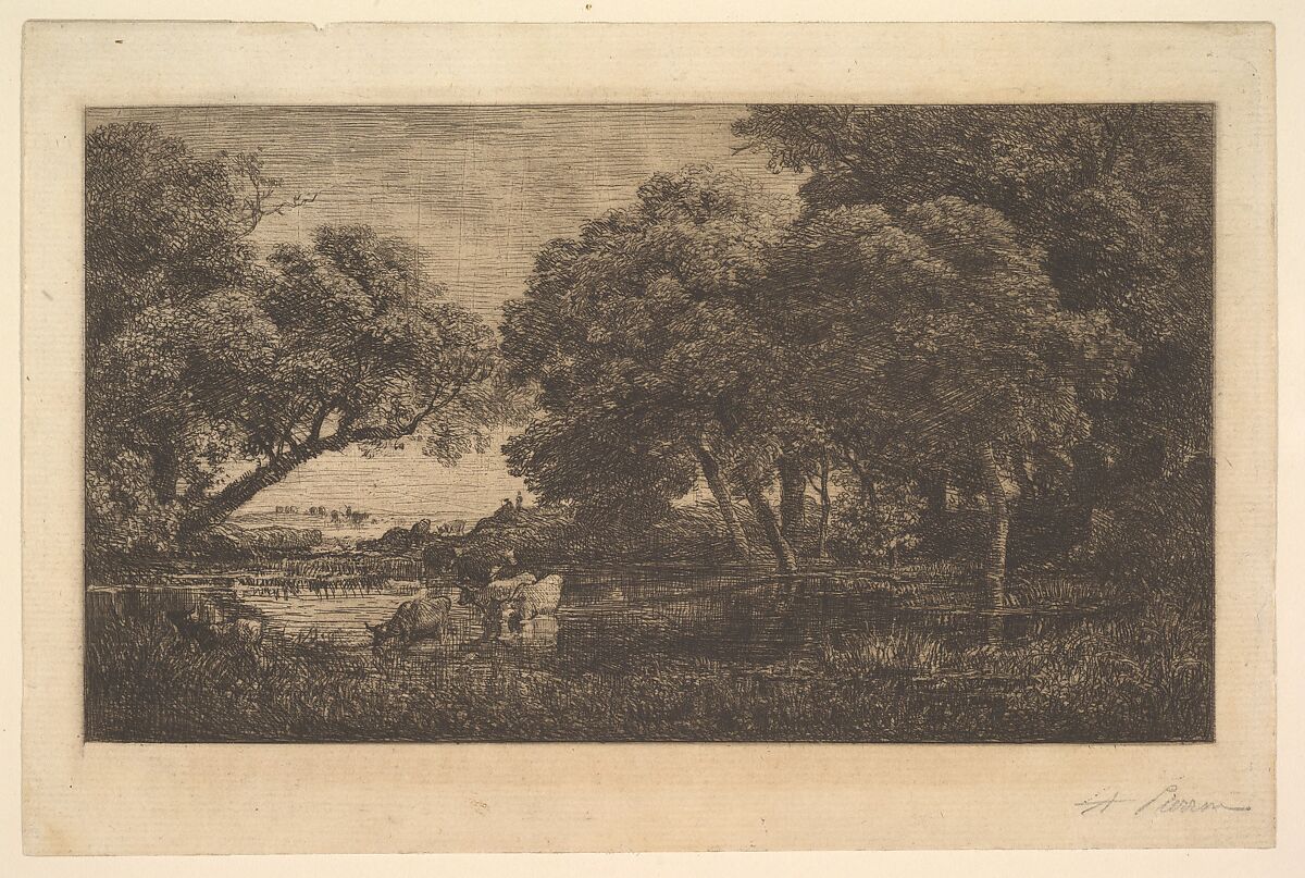 Stags in Woods, Charles-François Daubigny (French, Paris 1817–1878 Paris), Etching; third state of three (Delteil) 