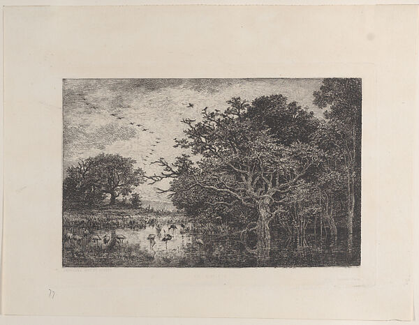 Swans in a Marsh, Charles-François Daubigny (French, Paris 1817–1878 Paris), Etching; between fifth and sixth states of six (Delteil)