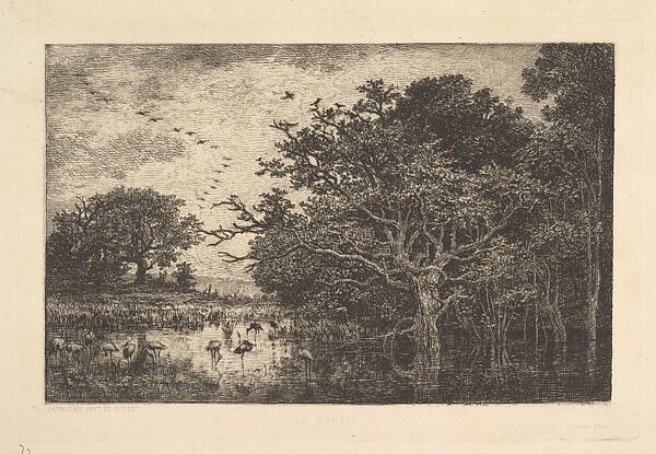 Swans in a Marsh, Charles-François Daubigny (French, Paris 1817–1878 Paris), Etching; between fifth and sixth states of six (Delteil) 