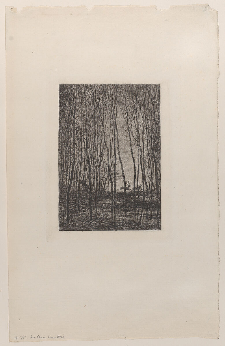 Deer in the Woods, Charles-François Daubigny (French, Paris 1817–1878 Paris), Etching; third state of three