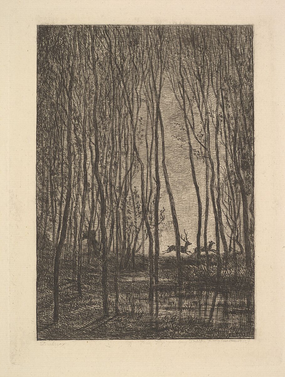 Deer in the Woods, Charles-François Daubigny (French, Paris 1817–1878 Paris), Etching; third state of three 