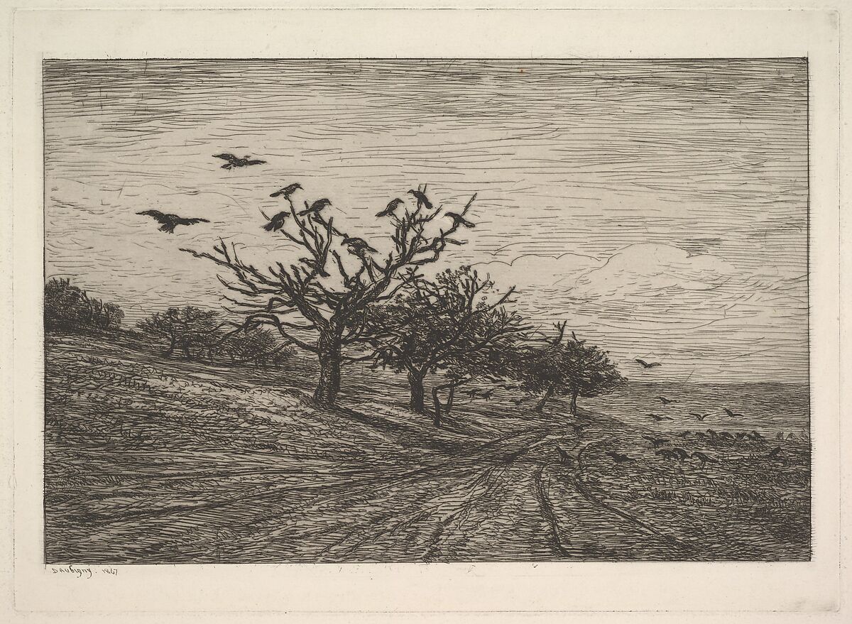 Tree Filled with Crows, Charles-François Daubigny (French, Paris 1817–1878 Paris), Etching; first state of two (Delteil) 